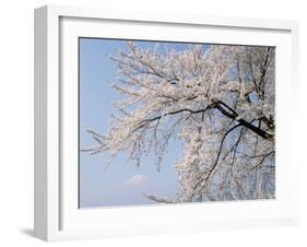 Cherry Blossoms and Mt. Fuji-null-Framed Photographic Print