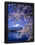 Essential Black