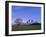 Cherry Blossoms and Mt. Iwate-null-Framed Photographic Print