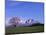 Cherry Blossoms and Mt. Iwate-null-Mounted Photographic Print