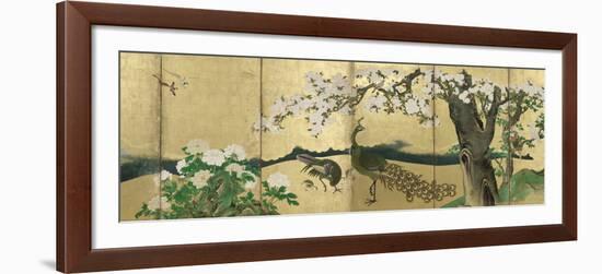 Cherry Blossoms and Peacocks-Kano Sansetsu-Framed Art Print