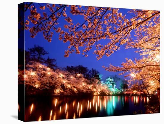 Cherry Blossoms and Takada Castle-null-Stretched Canvas