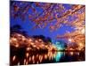 Cherry Blossoms and Takada Castle-null-Mounted Photographic Print