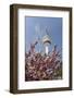 Cherry Blossoms and Television Tower, Hamburg, Germany, Europe-Axel Schmies-Framed Photographic Print