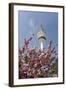 Cherry Blossoms and Television Tower, Hamburg, Germany, Europe-Axel Schmies-Framed Photographic Print