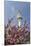 Cherry Blossoms and Television Tower, Hamburg, Germany, Europe-Axel Schmies-Mounted Photographic Print