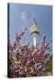 Cherry Blossoms and Television Tower, Hamburg, Germany, Europe-Axel Schmies-Stretched Canvas