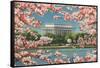 Cherry Blossoms and Tidal Basin-null-Framed Stretched Canvas