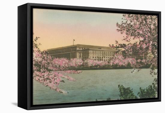 Cherry Blossoms and Tidal Basin-null-Framed Stretched Canvas