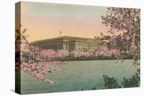 Cherry Blossoms and Tidal Basin-null-Stretched Canvas