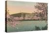 Cherry Blossoms and Tidal Basin-null-Stretched Canvas