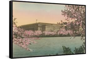 Cherry Blossoms and Tidal Basin-null-Framed Stretched Canvas