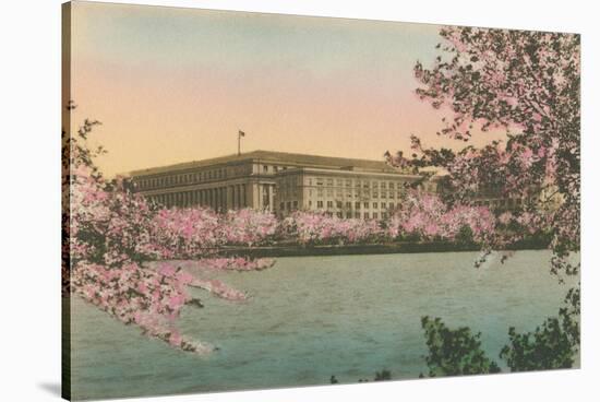 Cherry Blossoms and Tidal Basin-null-Stretched Canvas