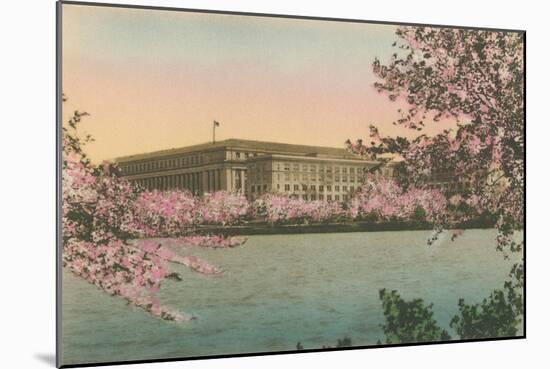 Cherry Blossoms and Tidal Basin-null-Mounted Premium Giclee Print