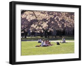 Cherry Blossoms and Trees in the Quad, University of Washington, Seattle, Washington, USA-Connie Ricca-Framed Premium Photographic Print