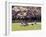 Cherry Blossoms and Trees in the Quad, University of Washington, Seattle, Washington, USA-Connie Ricca-Framed Photographic Print