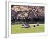 Cherry Blossoms and Trees in the Quad, University of Washington, Seattle, Washington, USA-Connie Ricca-Framed Photographic Print