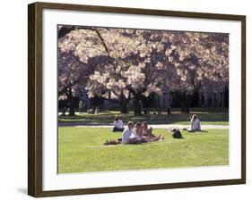 Cherry Blossoms and Trees in the Quad, University of Washington, Seattle, Washington, USA-Connie Ricca-Framed Photographic Print