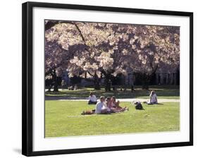 Cherry Blossoms and Trees in the Quad, University of Washington, Seattle, Washington, USA-Connie Ricca-Framed Photographic Print