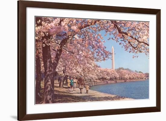 Cherry Blossoms and Washington Monument, Washington, D.C.-null-Framed Premium Giclee Print