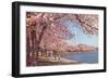 Cherry Blossoms and Washington Monument, Washington, D.C.-null-Framed Art Print