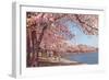 Cherry Blossoms and Washington Monument, Washington, D.C.-null-Framed Art Print