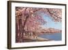 Cherry Blossoms and Washington Monument, Washington, D.C.-null-Framed Art Print