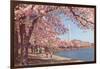 Cherry Blossoms and Washington Monument, Washington, D.C.-null-Framed Art Print