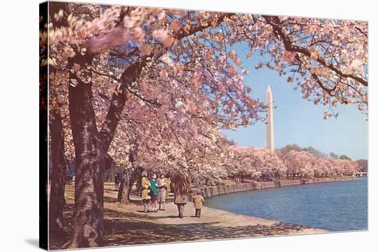 Cherry Blossoms and Washington Monument, Washington, D.C.-null-Stretched Canvas