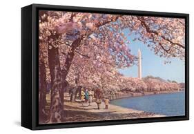 Cherry Blossoms and Washington Monument, Washington, D.C.-null-Framed Stretched Canvas