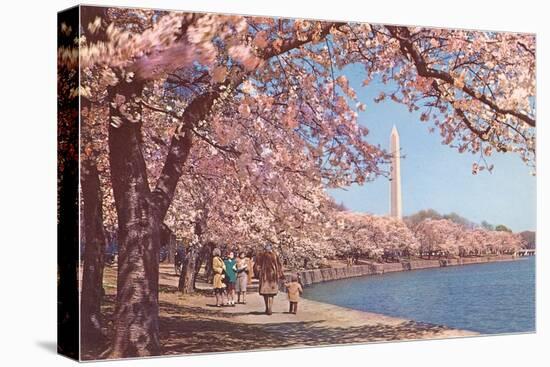 Cherry Blossoms and Washington Monument, Washington, D.C.-null-Stretched Canvas