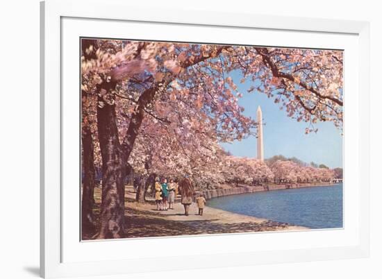 Cherry Blossoms and Washington Monument, Washington, D.C.-null-Framed Art Print