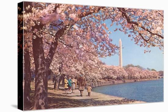 Cherry Blossoms and Washington Monument, Washington, D.C.-null-Stretched Canvas