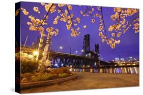 Cherry Blossoms and Water Front Park, Steel Ridge, Willamette River, Portland Oregon.-Craig Tuttle-Stretched Canvas