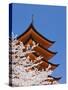 Cherry Blossoms at Itsukushima Jinja Shrine-Rudy Sulgan-Stretched Canvas