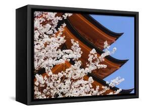 Cherry Blossoms at Itsukushima Jinja Shrine-Rudy Sulgan-Framed Stretched Canvas