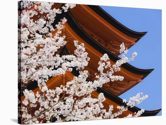 Cherry Blossoms at Itsukushima Jinja Shrine-Rudy Sulgan-Stretched Canvas