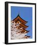 Cherry Blossoms at Itsukushima Jinja Shrine-Rudy Sulgan-Framed Photographic Print