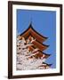 Cherry Blossoms at Itsukushima Jinja Shrine-Rudy Sulgan-Framed Photographic Print