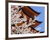 Cherry Blossoms at Itsukushima Jinja Shrine-Rudy Sulgan-Framed Photographic Print