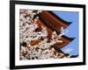 Cherry Blossoms at Itsukushima Jinja Shrine-Rudy Sulgan-Framed Photographic Print