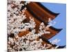 Cherry Blossoms at Itsukushima Jinja Shrine-Rudy Sulgan-Mounted Photographic Print