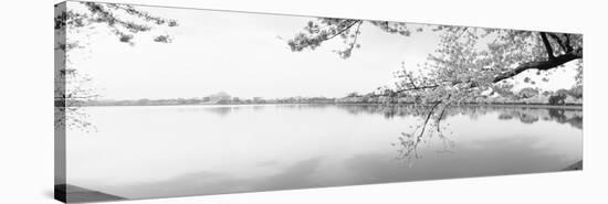 Cherry Blossoms at the Lakeside, Washington DC, USA-null-Stretched Canvas