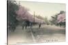 'Cherry Blossoms At Uyeno Park Tokyo', c1910-Unknown-Stretched Canvas