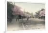 'Cherry Blossoms At Uyeno Park Tokyo', c1910-Unknown-Framed Giclee Print