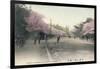 'Cherry Blossoms At Uyeno Park Tokyo', c1910-Unknown-Framed Giclee Print