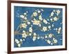 Cherry Blossoms Blue-Diane Stimson-Framed Art Print