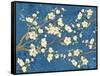 Cherry Blossoms Blue-Diane Stimson-Framed Stretched Canvas