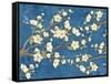 Cherry Blossoms Blue-Diane Stimson-Framed Stretched Canvas