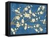 Cherry Blossoms Blue-Diane Stimson-Framed Stretched Canvas